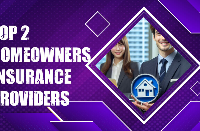 Top 2 Homeowners Insurance Providers in the USA